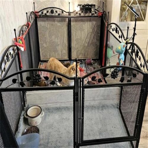 Heavy duty dog - dog, playpen