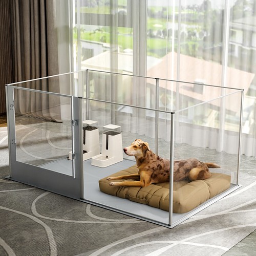 Xxl large acrylic - large, dog